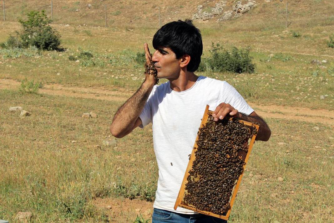 Arılarla dans eden adam: Kovanların yeni süper kahramanı! Bal gibi insan, arıların yakın dostu 3